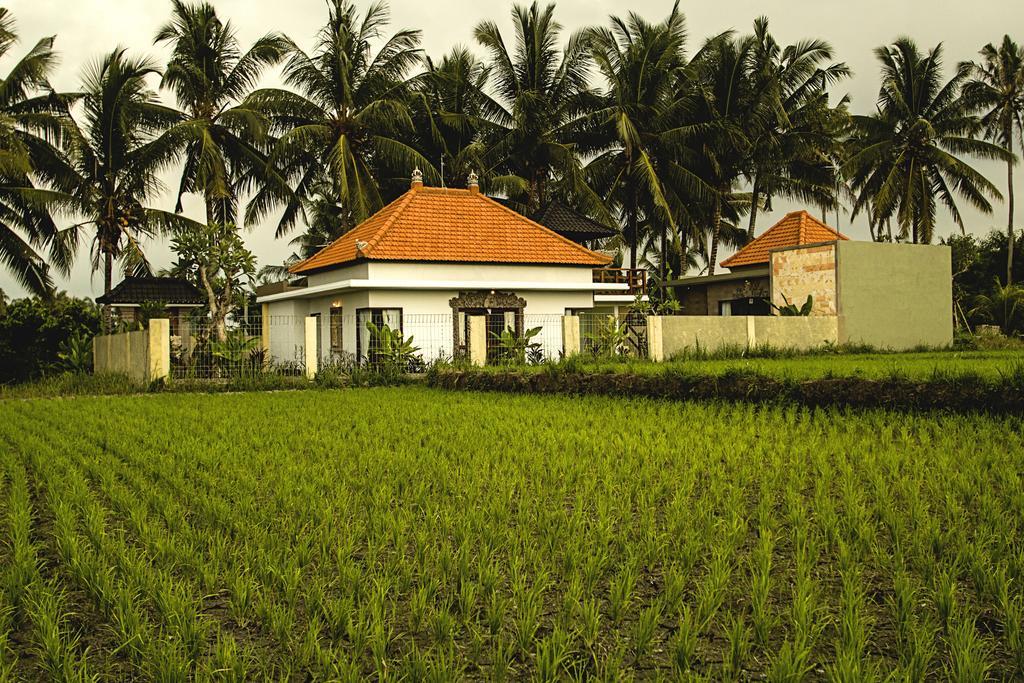 Ubud Lestari Villa Eksteriør bilde